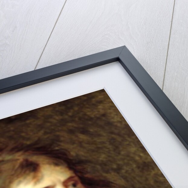 Bonaparte on the Bridge of Arcole, 17th November 1796 by Baron Antoine Jean Gros