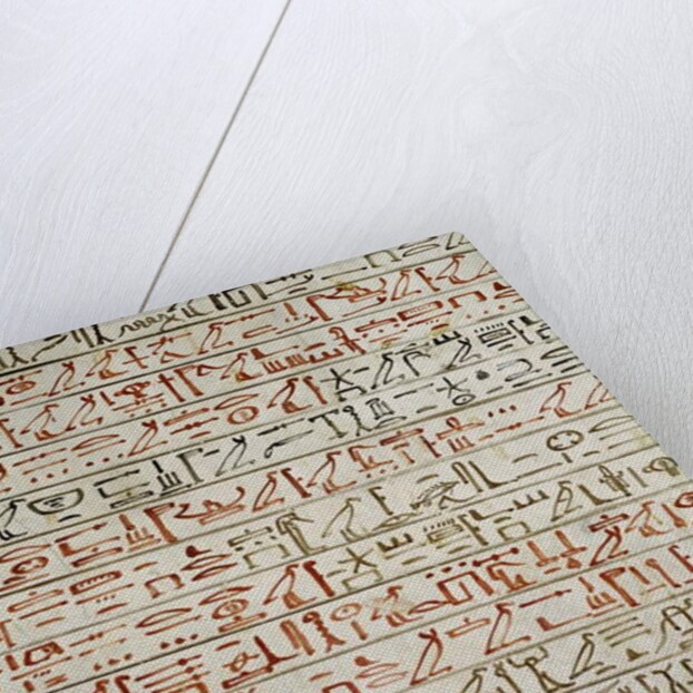 Detail from 'The Book of the Dead' by Egyptian 18th Dynasty