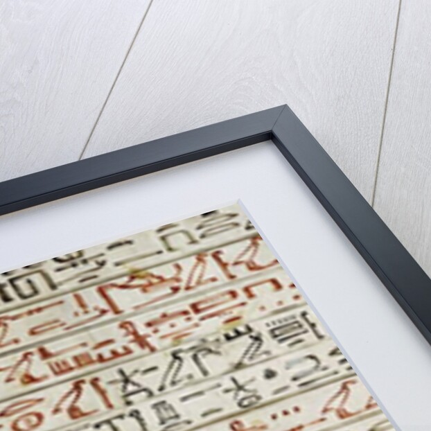 Detail from 'The Book of the Dead' by Egyptian 18th Dynasty