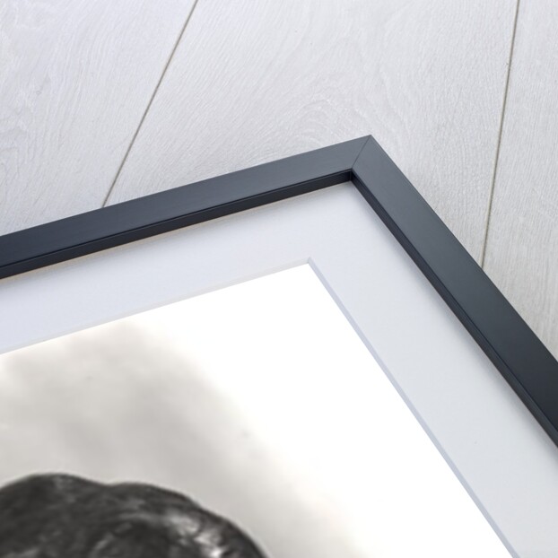 Bust of Charles Philipon, c.1833 by Honore Daumier