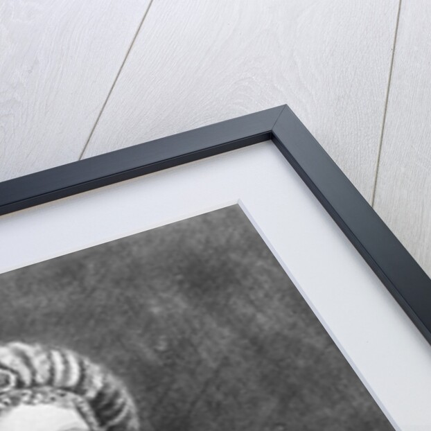 Portrait of Lucrezia Borgia by Hendrik van the Elder Balen