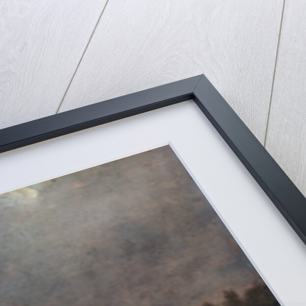 The Piebald Horse, 1653 by Paulus Potter