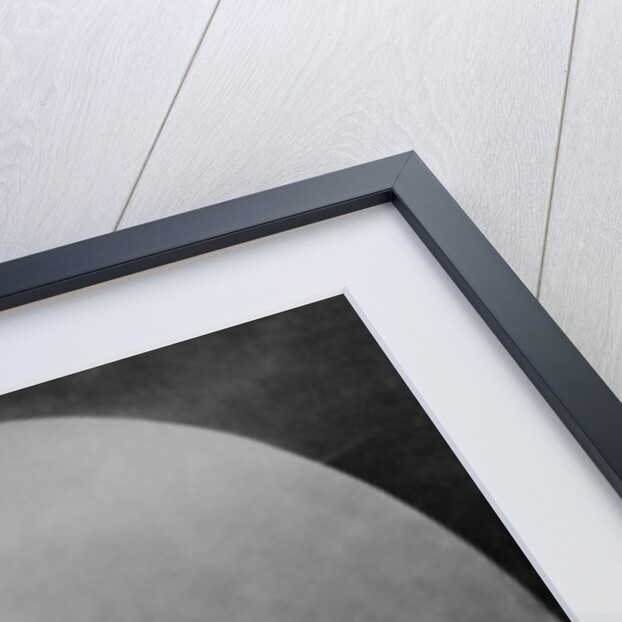 Portrait of Gustave Aimard by Goupil & Cie