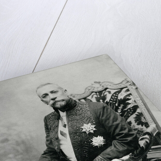 Honoré Charles Grimaldi, Prince Albert of Monaco by Jean-Baptiste Edouard Detaille