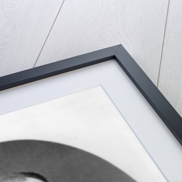 Portrait of Alexis Alexandrovitch Romanov, Grand Duke of Russia by French Photographer