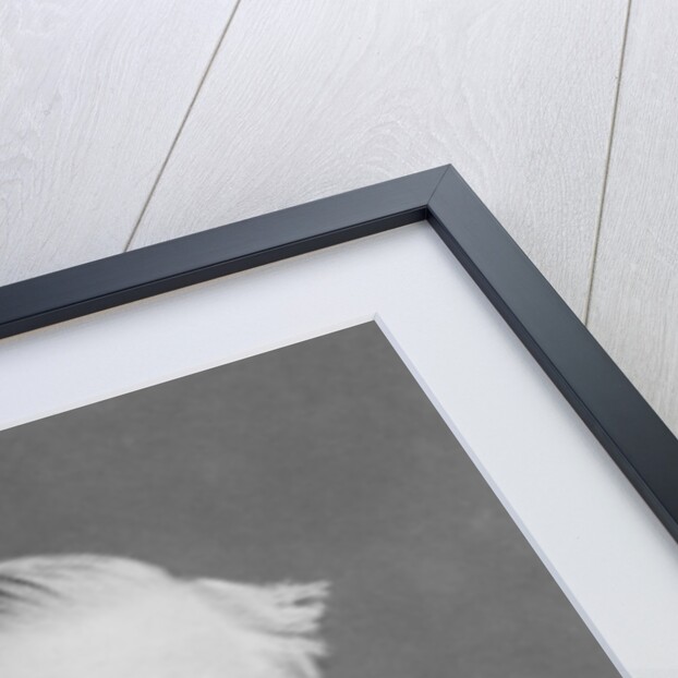 Portrait of Sir Edwin Arnold by Roger Eliot Fry