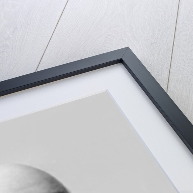 Portrait of Edme Armand Gaston, Duc d'Audiffret Pasquier by Eugene Pirou