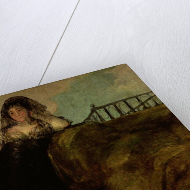 Leocadia Zorilla, the Artist's Housekeeper, c.1821 by Francisco Jose de Goya y Lucientes