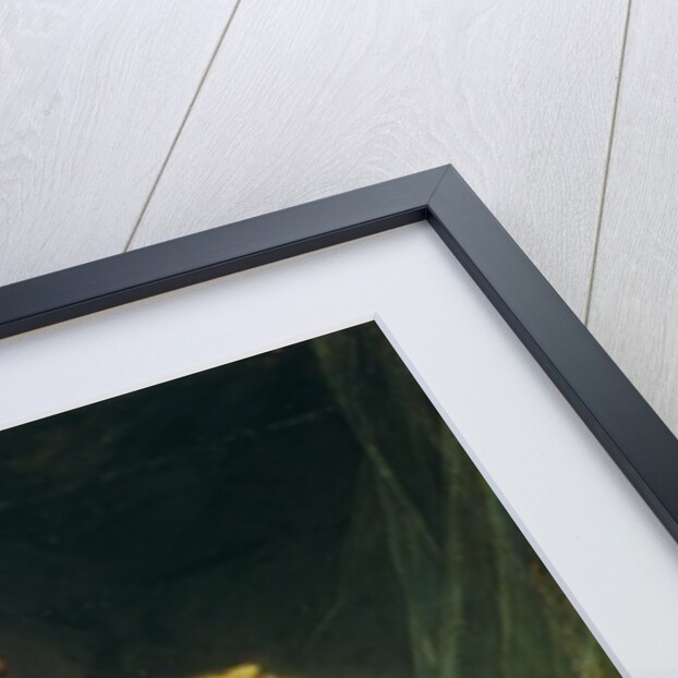 Louis XVI, King of France in Coronation Robes, 1777 by Joseph Siffred Duplessis