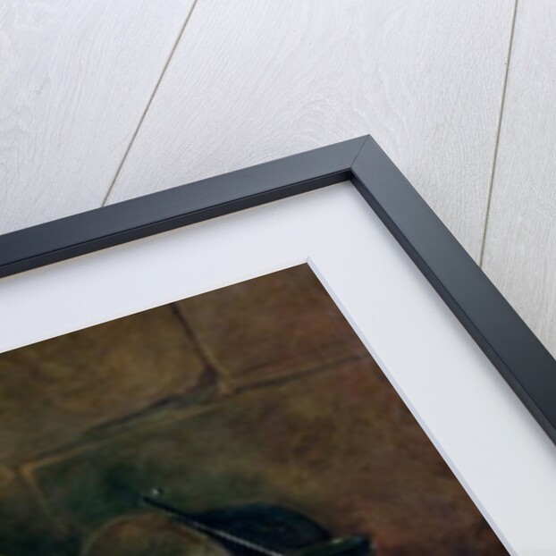 The Ray or, The Kitchen Interior, 1728 by Jean-Baptiste Simeon Chardin