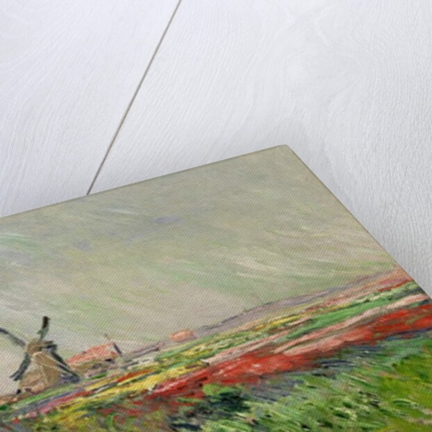 Tulip Field in Holland by Claude Monet