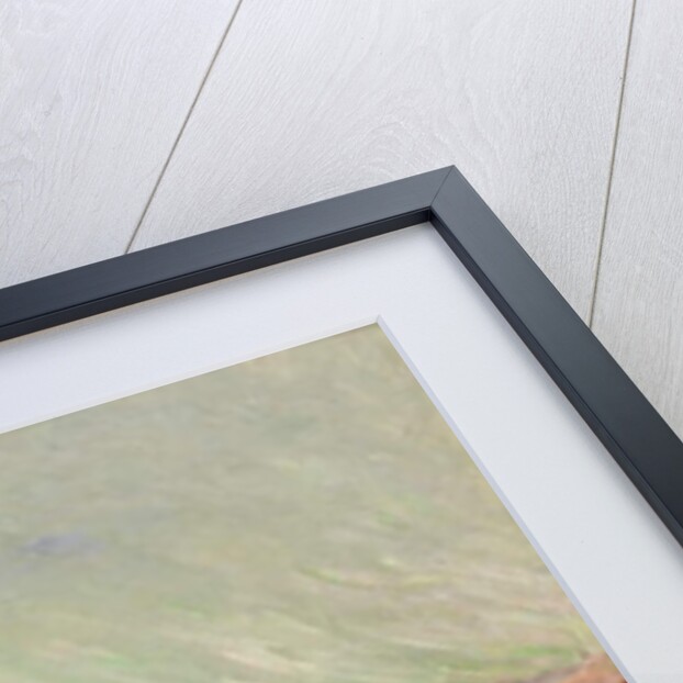 Tulip Field in Holland by Claude Monet