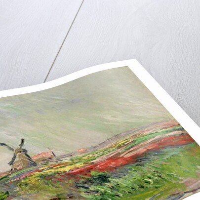 Tulip Field in Holland by Claude Monet