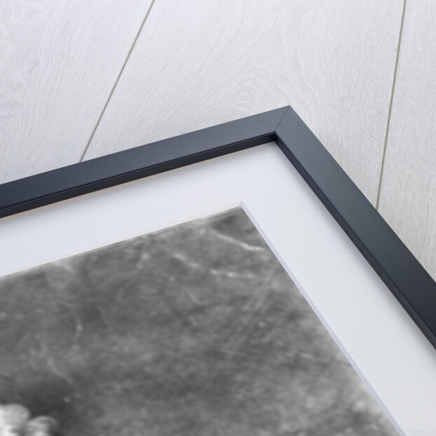 Portrait of Alexander Pope by Michael Dahl (after)