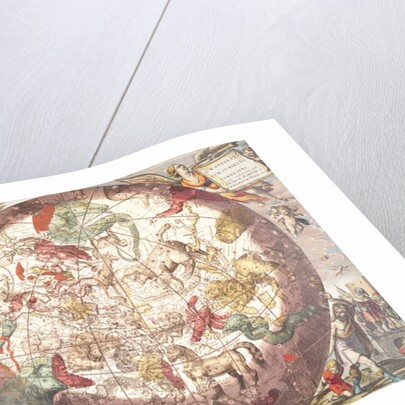 Northern Hemisphere by Andreas Cellarius