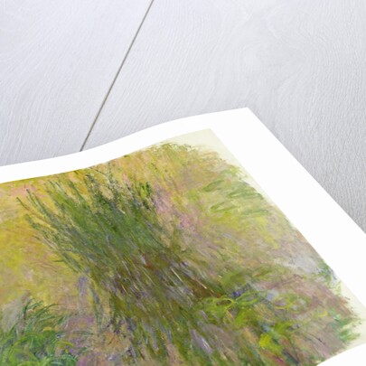 Waterlilies by Claude Monet