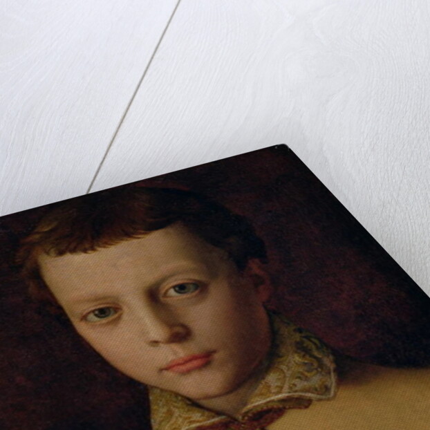 Portrait of Ferdinando de' Medici by Agnolo di Cosimo Bronzino