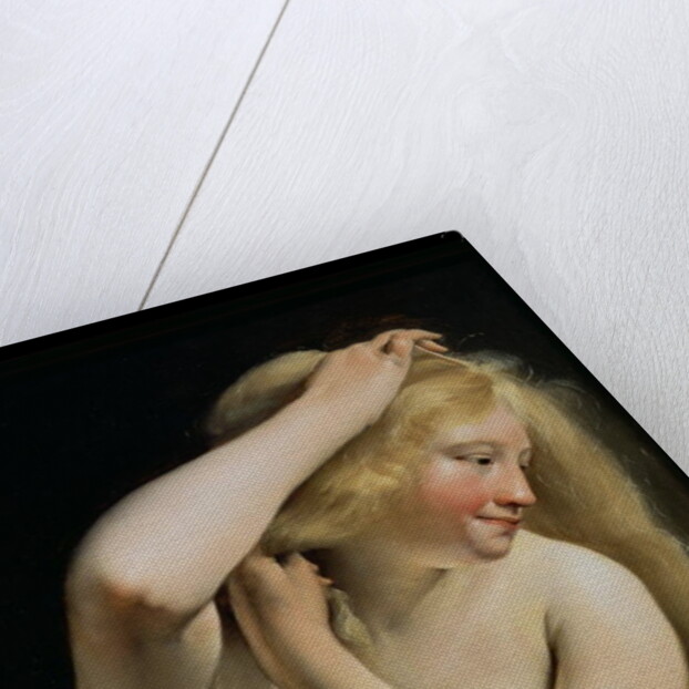Young Woman Combing Her Hair by Salomon de Bray