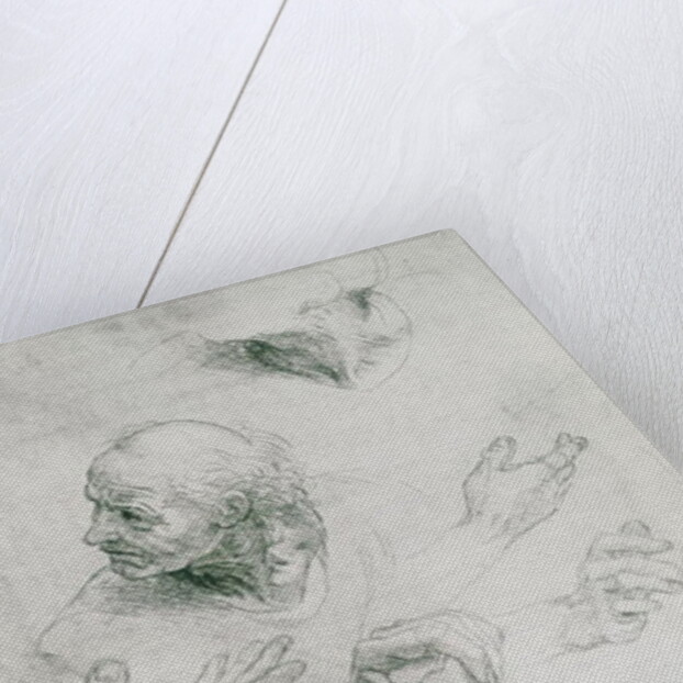 Studies for the Figure of Bramante by Raphael