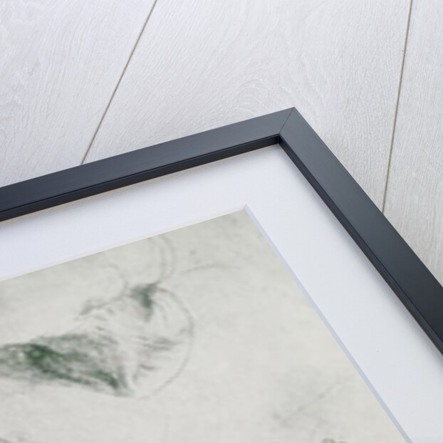 Studies for the Figure of Bramante by Raphael