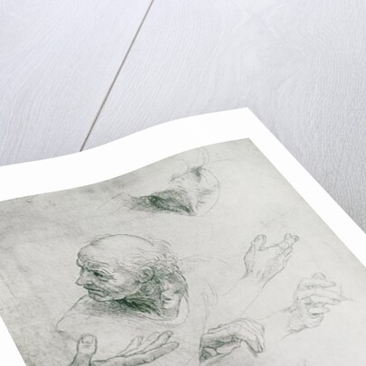 Studies for the Figure of Bramante by Raphael