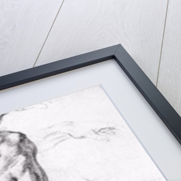 Study for the Creation of Adam by Michelangelo Buonarroti