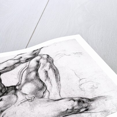 Study for the Creation of Adam by Michelangelo Buonarroti