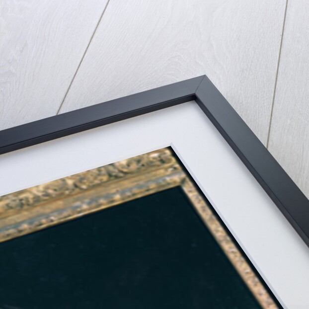 Portrait of a Man, 17th century by Jacob Jordaens