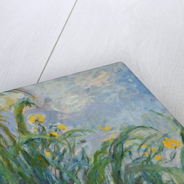 The Yellow Iris by Claude Monet