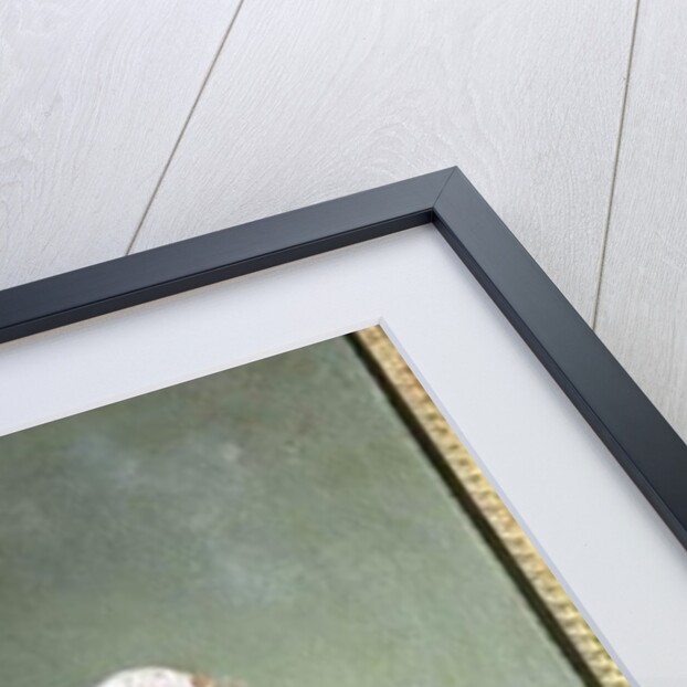 Flower Study by Jean Jacques Bachelier