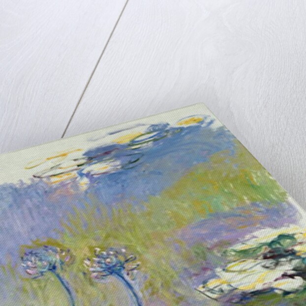 The Agapanthus, 1914-17 by Claude Monet