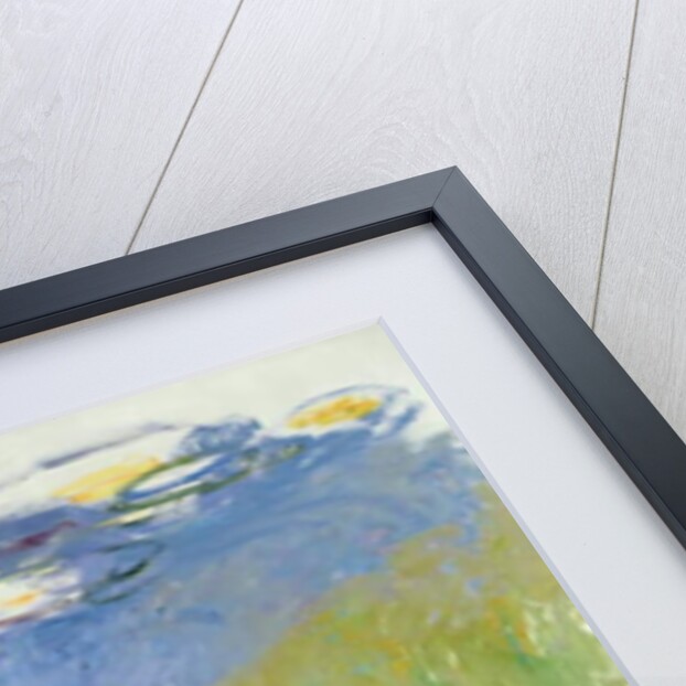 The Agapanthus, 1914-17 by Claude Monet