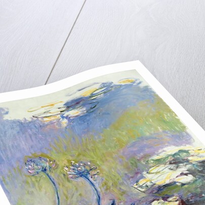 The Agapanthus, 1914-17 by Claude Monet