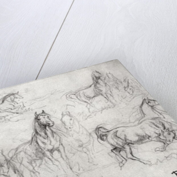 Study of Horses by Rosa Bonheur