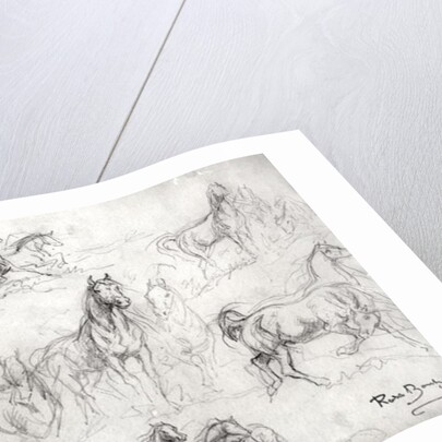 Study of Horses by Rosa Bonheur