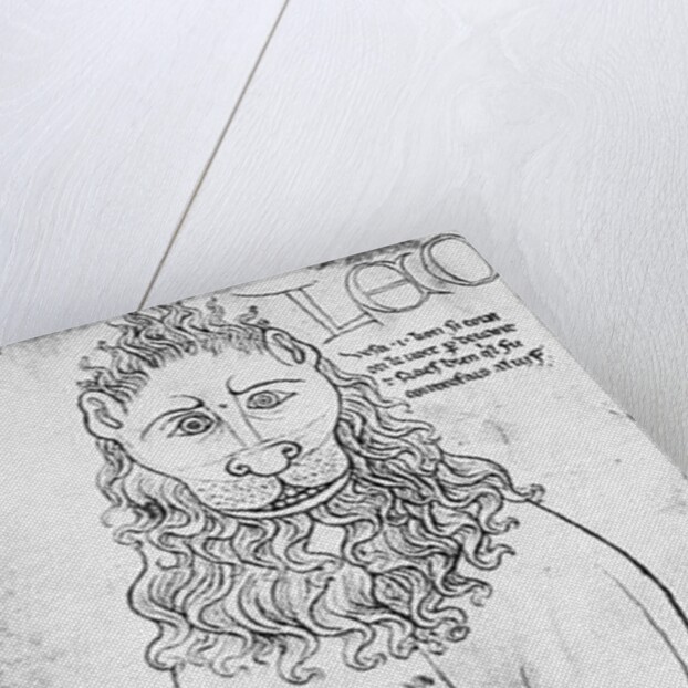 Ms Fr 19093 fol.24v Lion and Porcupine by Villard de Honnecourt