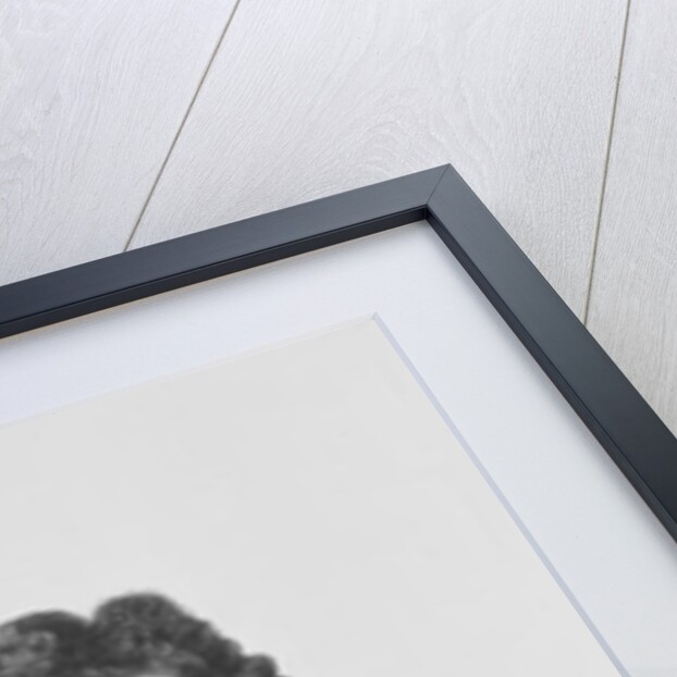 Portrait of Henry Purcell by English School