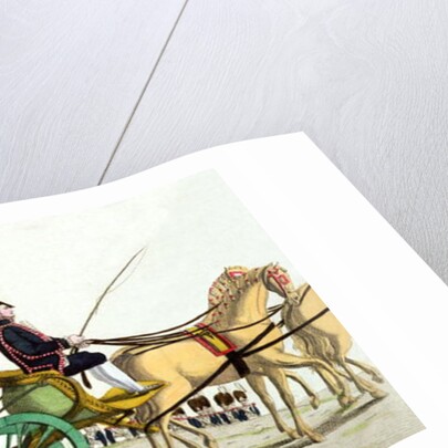 Louis XVIII and his Family Reviewing the Royal Troops at the Champ de Mars, 20th June 1814, the day of the blessing of the flags of the Garde Royale by French School