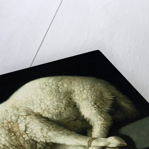 Agnus Dei, c.1635-40 by Francisco de Zurbaran