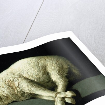 Agnus Dei, c.1635-40 by Francisco de Zurbaran