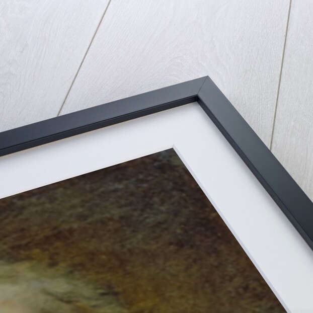 Head of an Old Man by French School