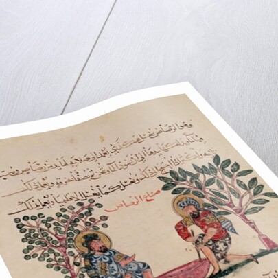 Making Lead, page from an Arabic edition of the treaty of Dioscorides, 'De Materia Medica', 1222 by Islamic School