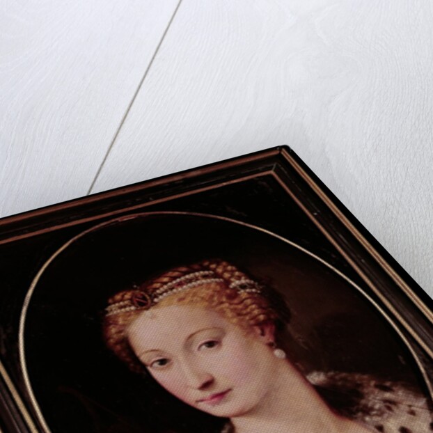 Diane de Poitiers by Francesco Primaticcio