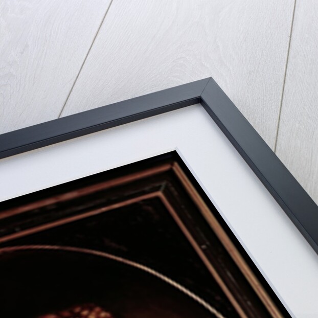 Diane de Poitiers by Francesco Primaticcio