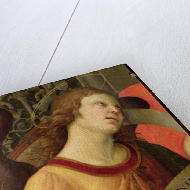 Angel by Raphael (1483-1520)