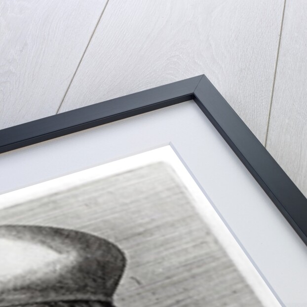 Aldus Manutius by French School