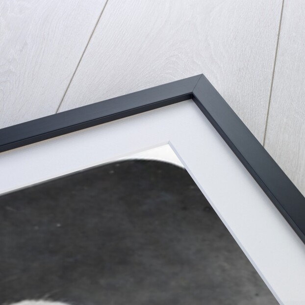 Honore Daumier c.1864 by Etienne Carjat