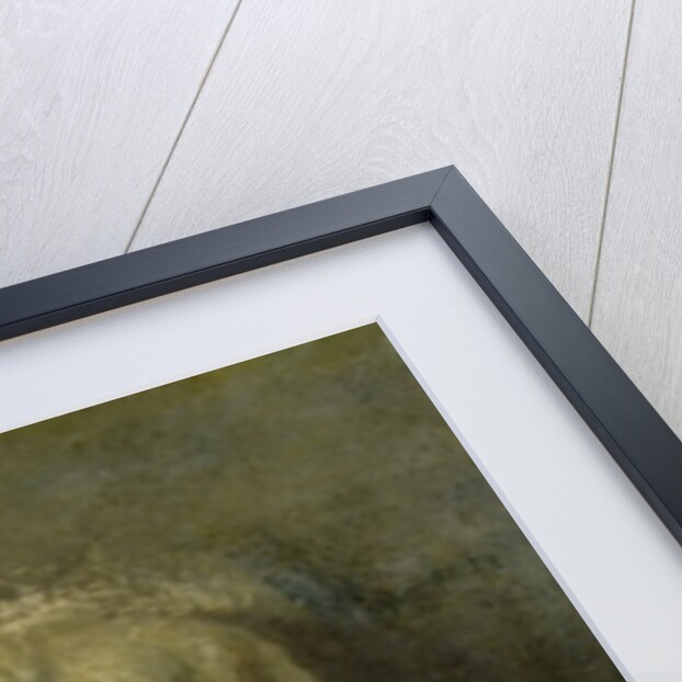 Study of the Head of a Young Singer, after Della Robbia, c.1856-58 by Edgar Degas