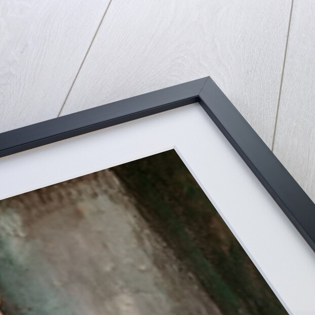 Madame G. van Muyden, 1917 by Amedeo Modigliani