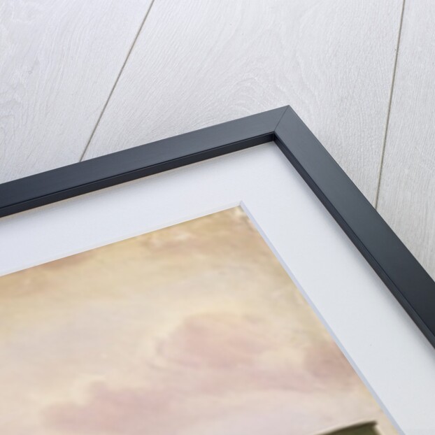 Return of the Ashes of the Emperor to Paris, 15th December 1840 by Theodore Jung